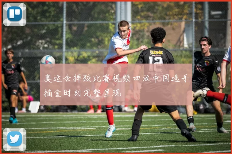 奥运会摔跤比赛视频回放中国选手摘金时刻完整呈现