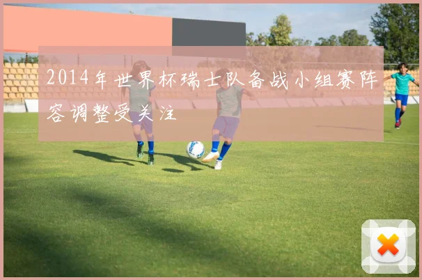 2014年世界杯瑞士队备战小组赛阵容调整受关注
