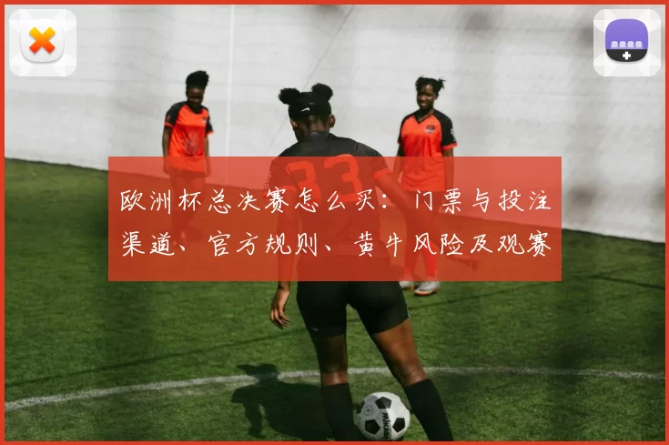 欧洲杯总决赛怎么买：门票与投注渠道、官方规则、黄牛风险及观赛建议