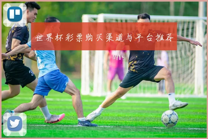 世界杯彩票购买渠道与平台推荐
