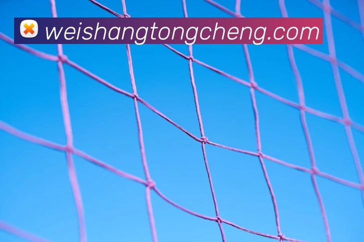 战术分析频道