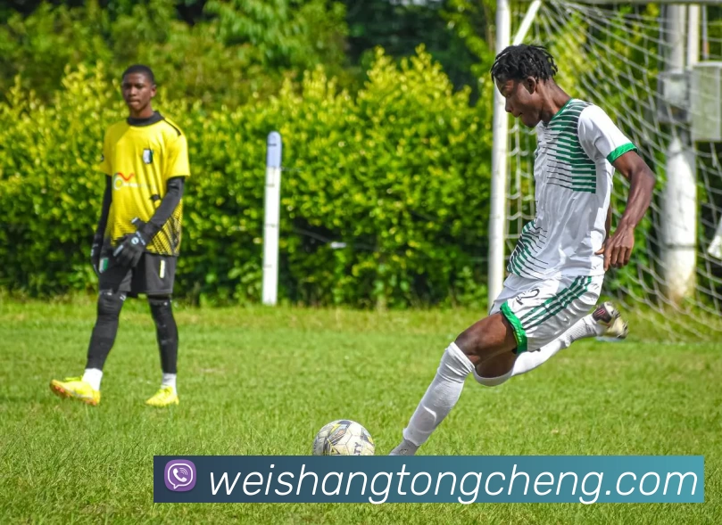 雷竞技(RAYBET)·电子竞技赛事官网APP 封面图